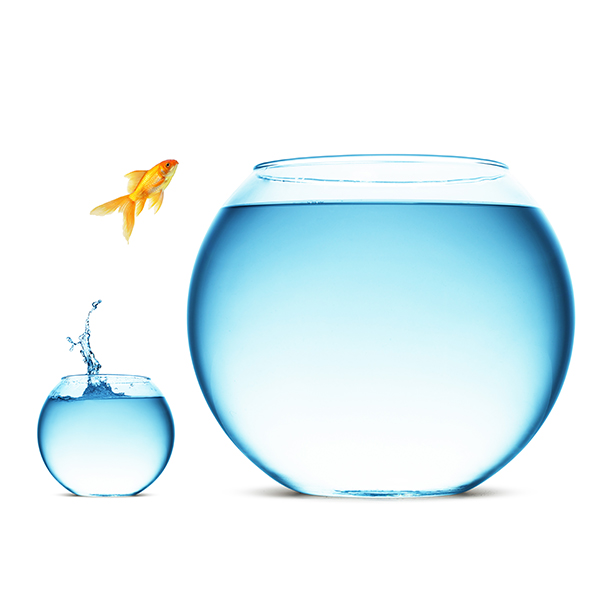 Uline-Consulting-Change-Management